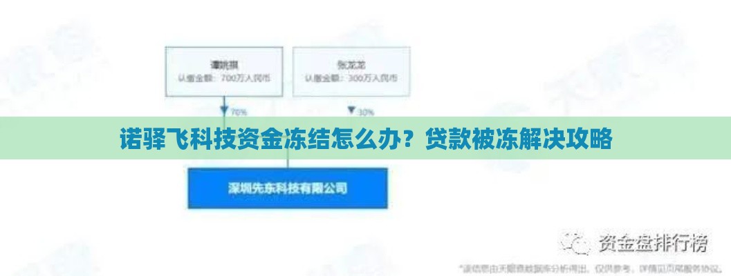 诺驿飞科技资金冻结怎么办？贷款被冻解决攻略