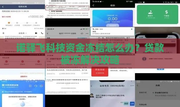 诺驿飞科技资金冻结怎么办？贷款被冻解决攻略