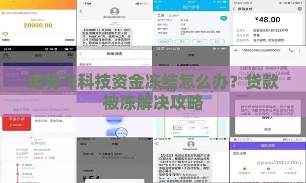 诺驿飞科技资金冻结怎么办？贷款被冻解决攻略
