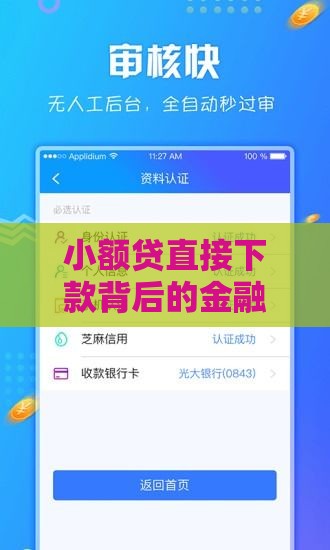小额贷直接下款背后的金融新趋势