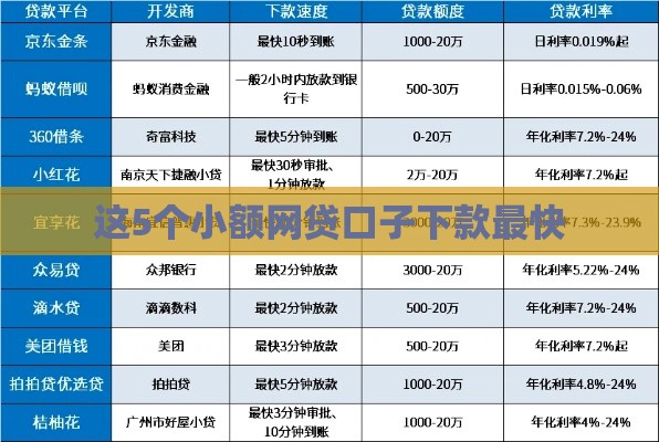 这5个小额网贷口子下款最快