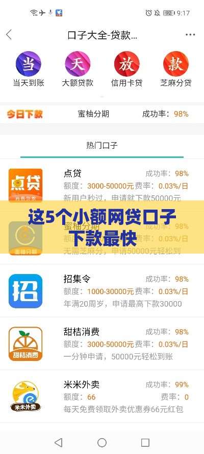 这5个小额网贷口子下款最快