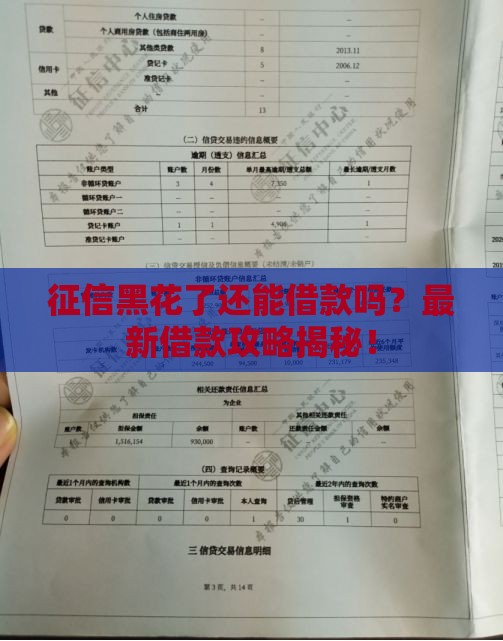 征信黑花了还能借款吗？最新借款攻略揭秘！