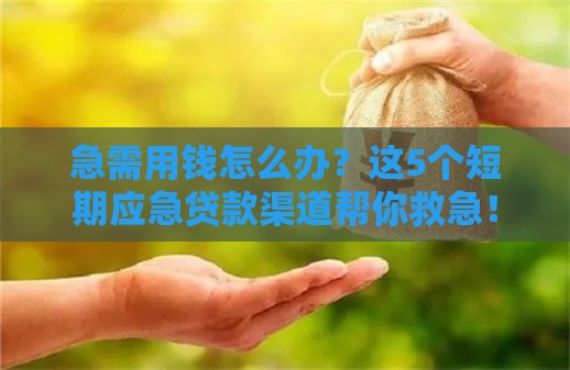 急需用钱怎么办？这5个短期应急贷款渠道帮你救急！