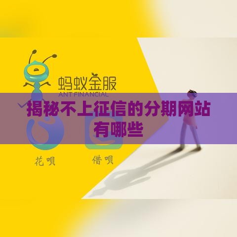 揭秘不上征信的分期网站有哪些