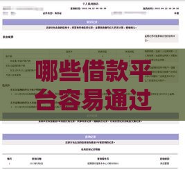 哪些借款平台容易通过且不看征信流水？