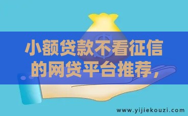 小额贷款不看征信的网贷平台推荐，快速下款无压力