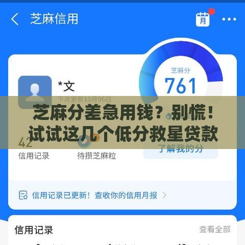 芝麻分差急用钱？别慌！试试这几个低分救星贷款口子
