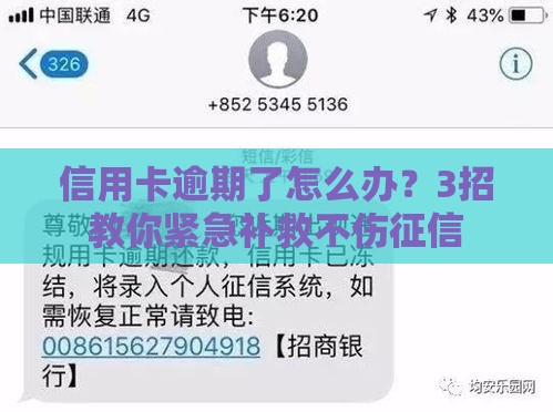 信用卡逾期了怎么办？3招教你紧急补救不伤征信