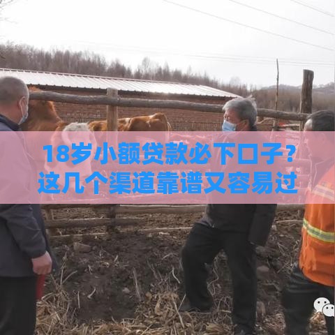 18岁小额贷款必下口子？这几个渠道靠谱又容易过！