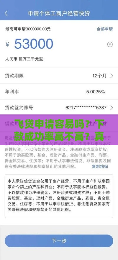 飞贷申请容易吗？下款成功率高不高？真实用户经验分享