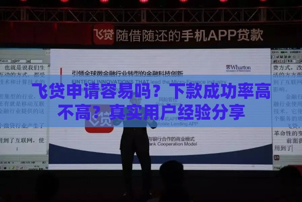 飞贷申请容易吗？下款成功率高不高？真实用户经验分享