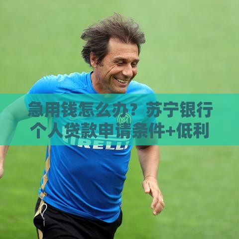 急用钱怎么办？苏宁银行个人贷款申请条件+低利率攻略