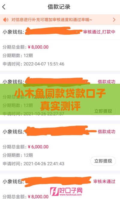 小木鱼同款贷款口子真实测评