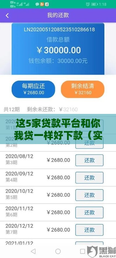 这5家贷款平台和你我贷一样好下款（实测对比）