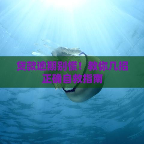 贷款逾期别慌！教你几招正确自救指南