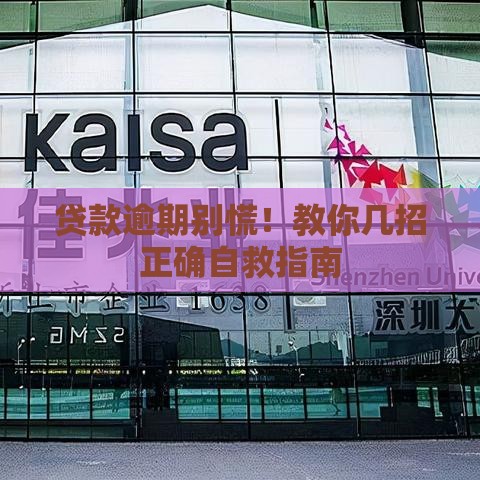 贷款逾期别慌！教你几招正确自救指南