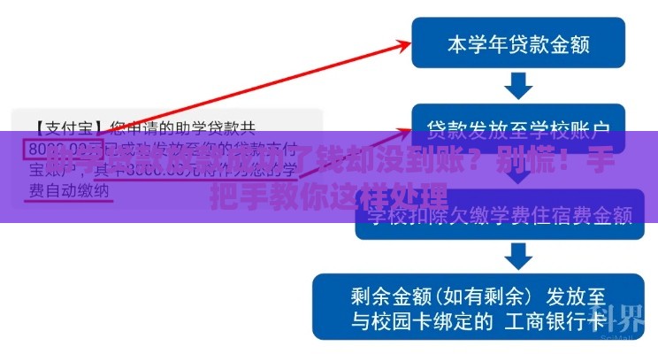 助学贷款放款成功了钱却没到账？别慌！手把手教你这样处理