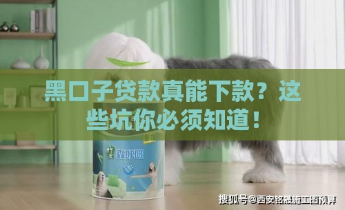 黑口子贷款真能下款？这些坑你必须知道！