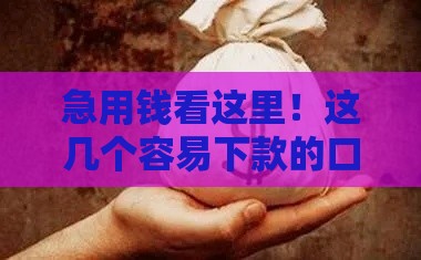 急用钱看这里！这几个容易下款的口子靠谱吗？