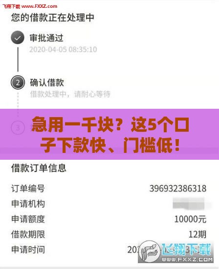 急用一千块？这5个口子下款快、门槛低！