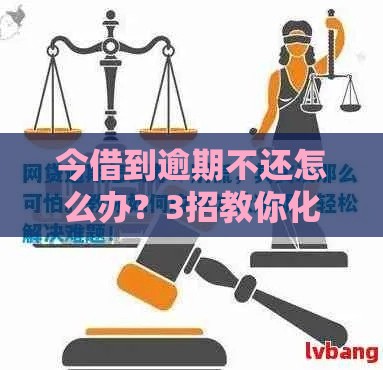 今借到逾期不还怎么办？3招教你化解还款危机