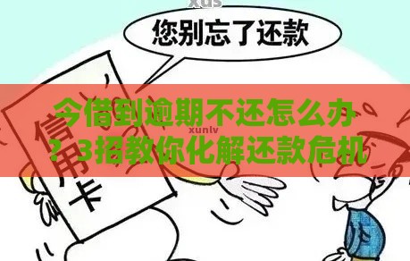 今借到逾期不还怎么办？3招教你化解还款危机