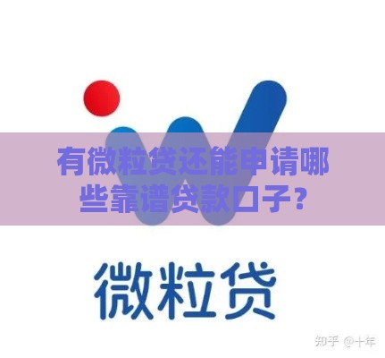 有微粒贷还能申请哪些靠谱贷款口子？
