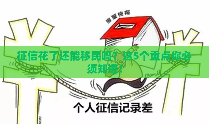 征信花了还能移民吗？这5个重点你必须知道！