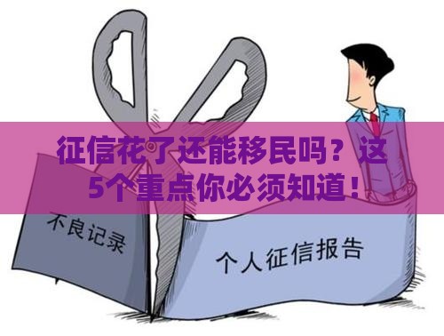 征信花了还能移民吗？这5个重点你必须知道！