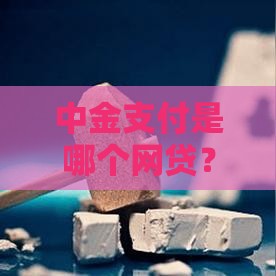 中金支付是哪个网贷？搞清支付平台和网贷的区别很重要！