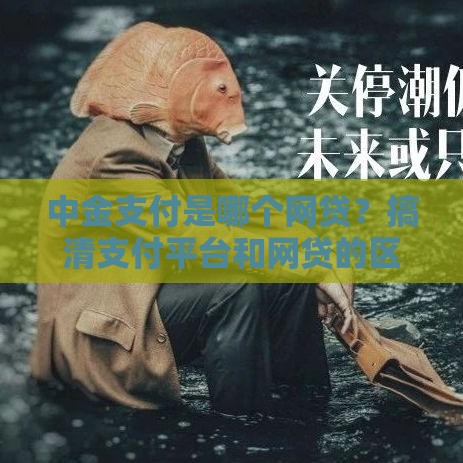 中金支付是哪个网贷？搞清支付平台和网贷的区别很重要！