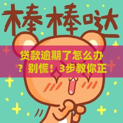 贷款逾期了怎么办？别慌！3步教你正确处理，避免征信受损