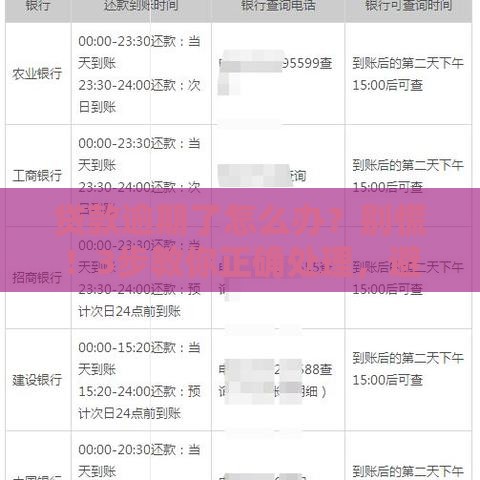 贷款逾期了怎么办？别慌！3步教你正确处理，避免征信受损