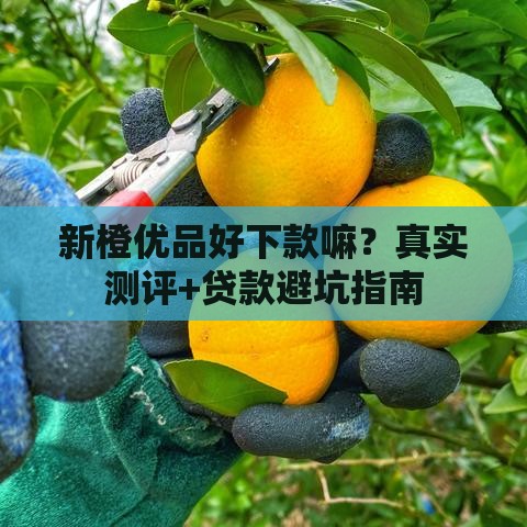 新橙优品好下款嘛？真实测评+贷款避坑指南