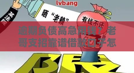 逾期负债高急用钱？老哥支招靠谱借款口子怎么选