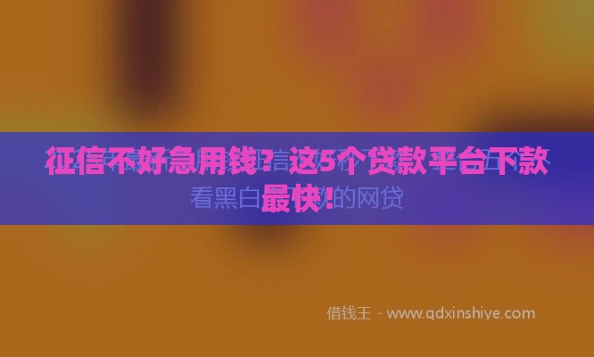 征信不好急用钱？这5个贷款平台下款最快！