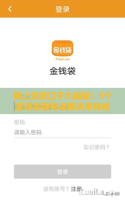 网上贷款口子大揭秘：5个靠谱渠道快速解决用钱难题