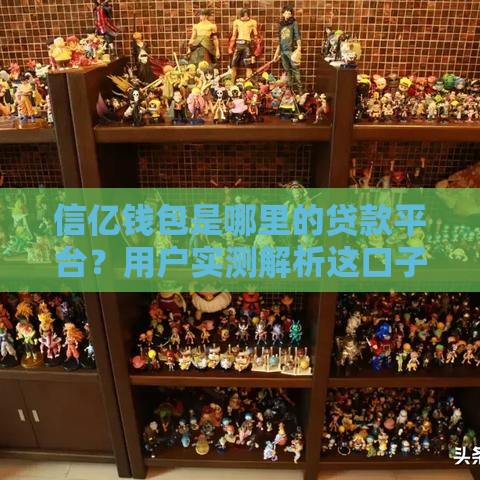 信亿钱包是哪里的贷款平台？用户实测解析这口子靠不靠谱