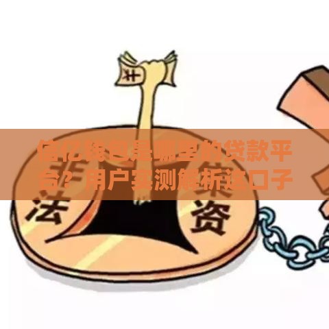 信亿钱包是哪里的贷款平台？用户实测解析这口子靠不靠谱