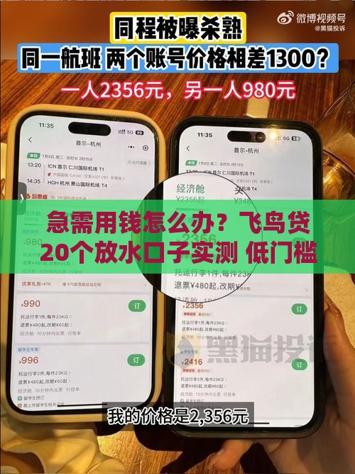 急需用钱怎么办？飞鸟贷20个放水口子实测 低门槛快速到账