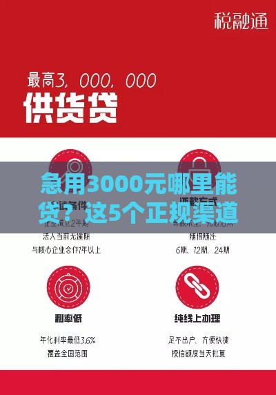 急用3000元哪里能贷？这5个正规渠道当天放款