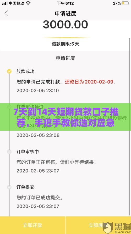 7天到14天短期贷款口子推荐，手把手教你选对应急周转方案
