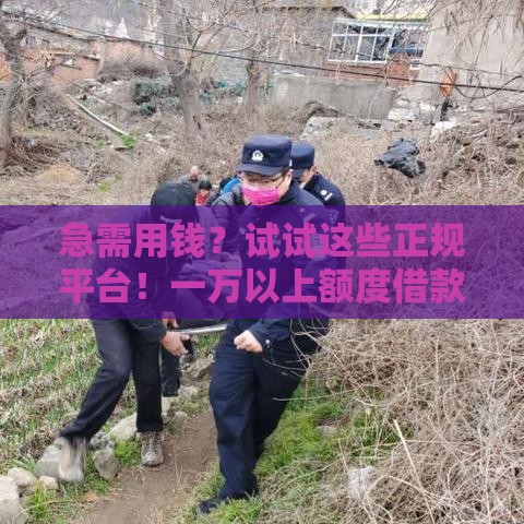 急需用钱？试试这些正规平台！一万以上额度借款口子推荐
