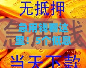 急用钱看这里！5个低息好下款口子实测 老哥避坑指南