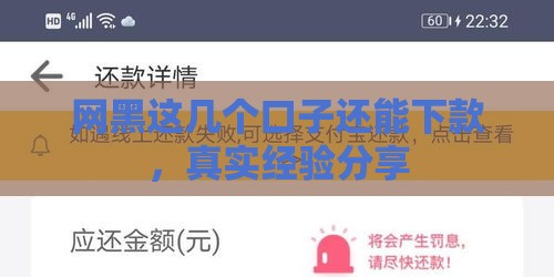 网黑这几个口子还能下款，真实经验分享