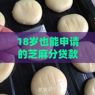 18岁也能申请的芝麻分贷款口子全攻略