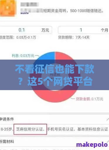 不看征信也能下款？这5个网贷平台真实测评，