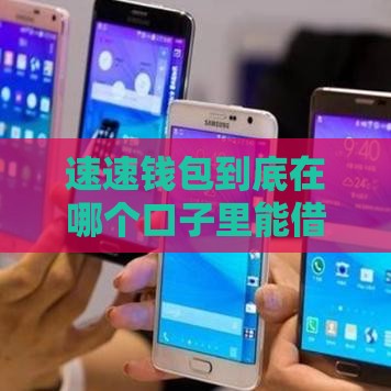 速速钱包到底在哪个口子里能借到？手把手教你避坑