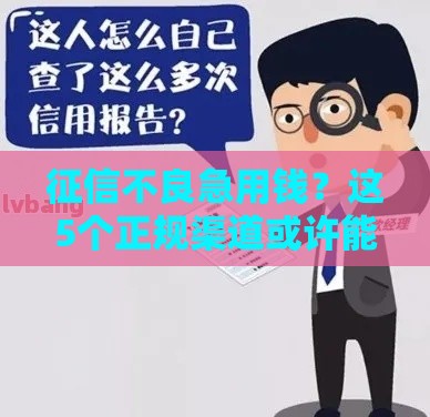 征信不良急用钱？这5个正规渠道或许能帮到你